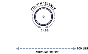 circumferences1