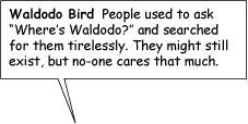 waldo2