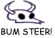 steer