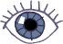 SFeye