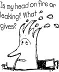 fireleak
