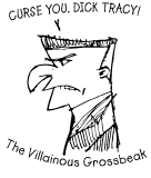 grossbeak