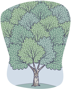 familytree