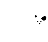 dog2