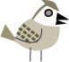 calling