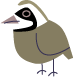 partridge