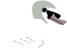 swan